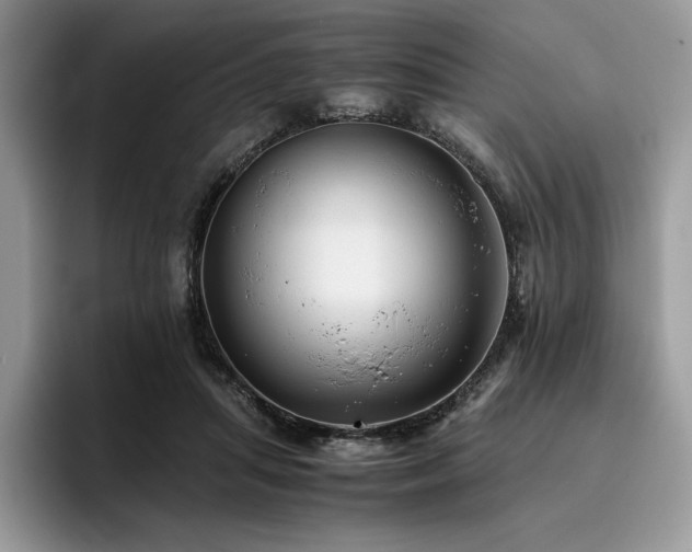 X0000096220455200801181454