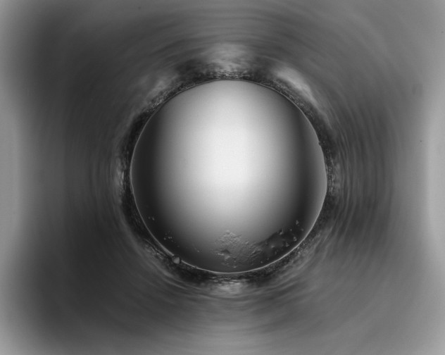 X0000096220456200801181454