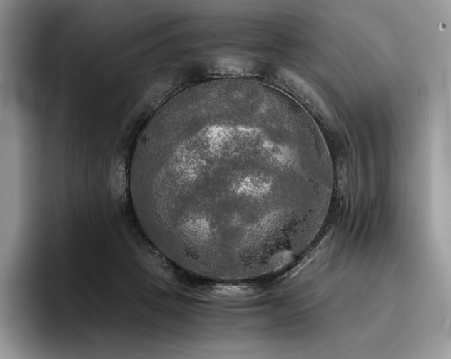 X0000096220457200801181454