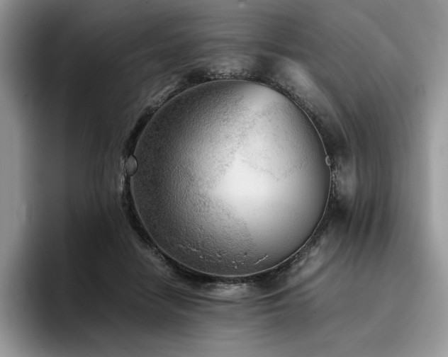 X0000096220458200801181454