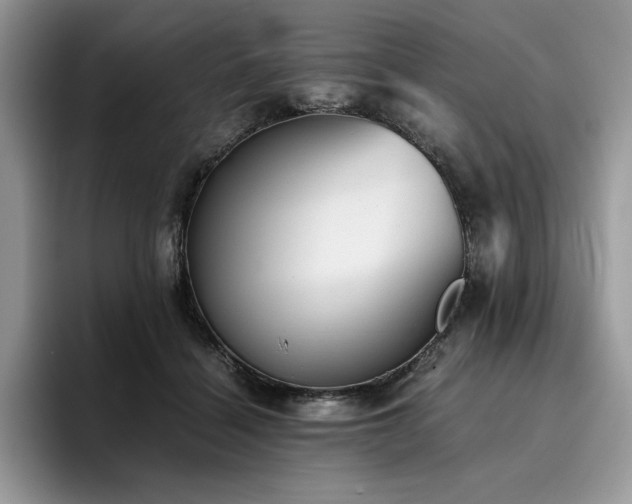 X0000096220460200801181454