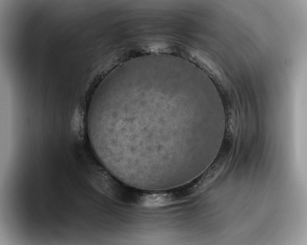 X0000096220461200801181454