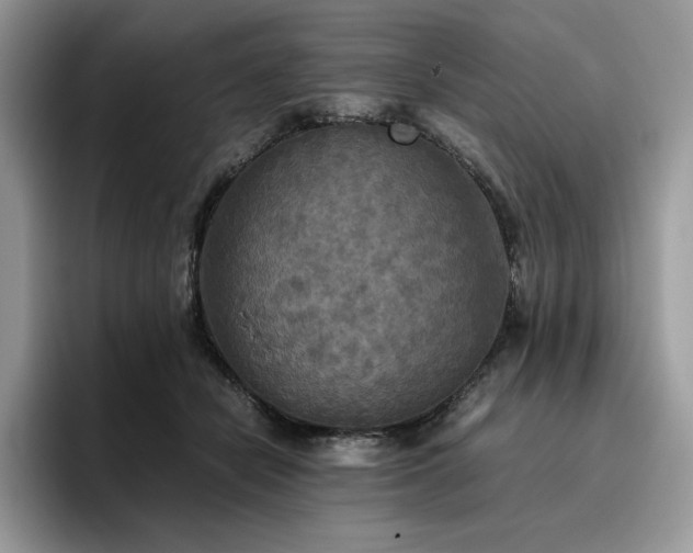 X0000096220462200801181454