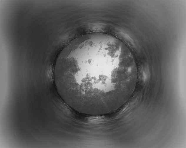 X0000096220465200801181454