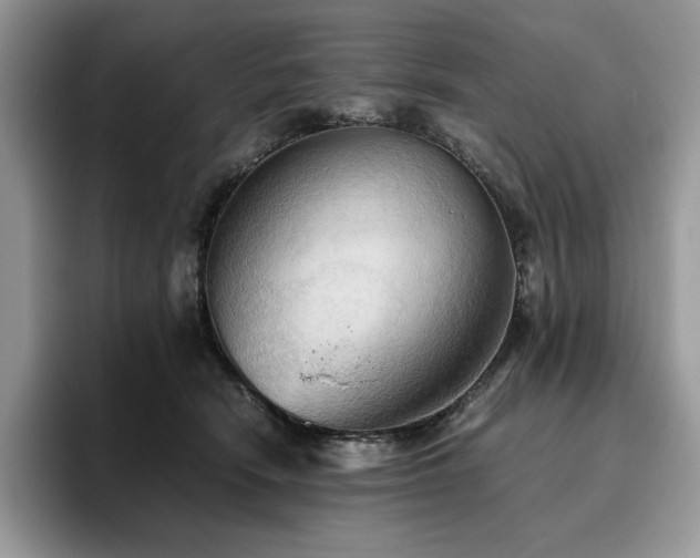 X0000096220466200801181454