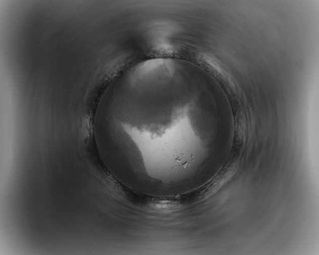 X0000096220467200801181454