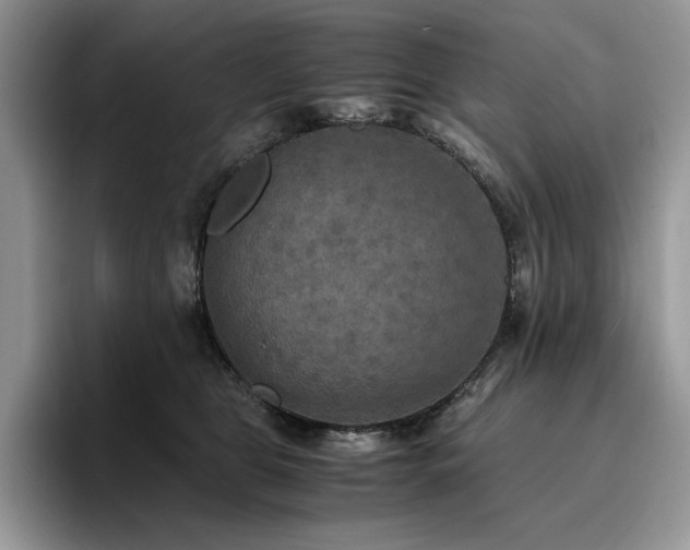 X0000096220469200801181454