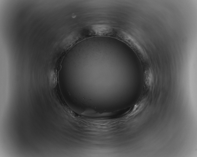 X0000096220471200801181454