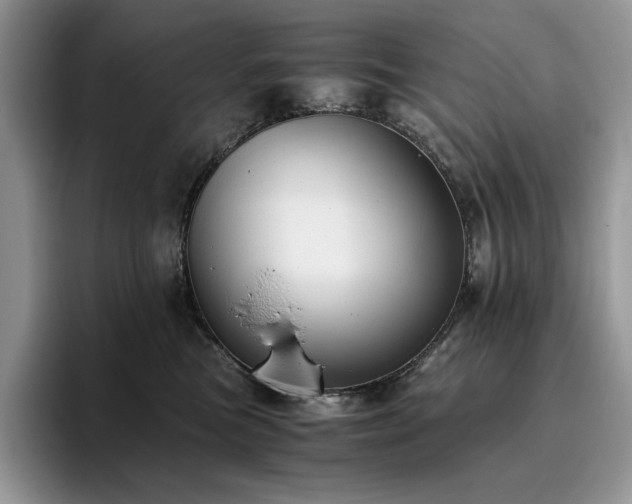 X0000096220473200801181454