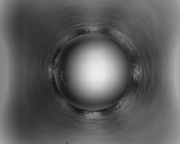 X0000096220476200801181454