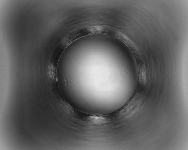 X0000096220477200801181454