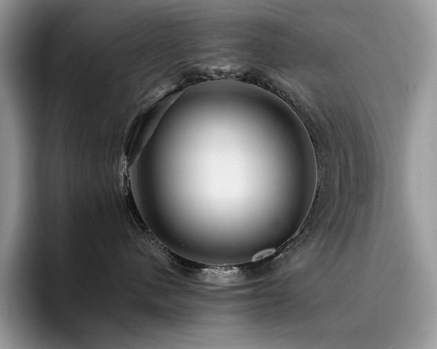 X0000096220480200801181454