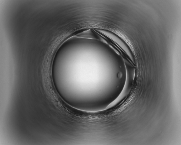 X0000096220481200801181454