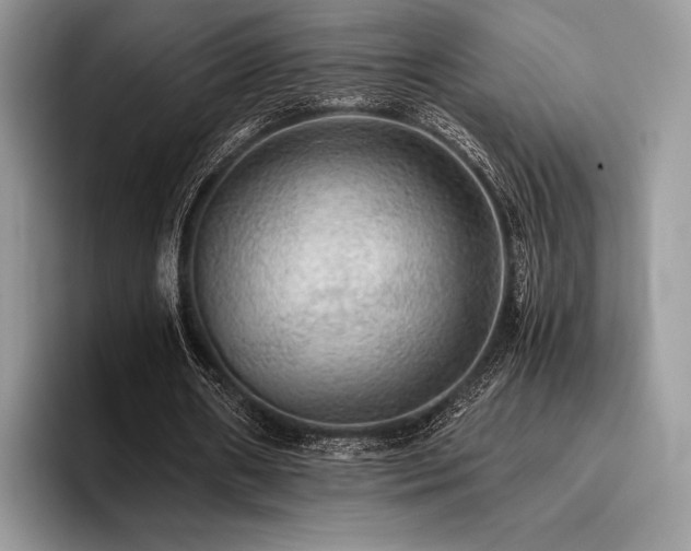 X0000096220482200801181453