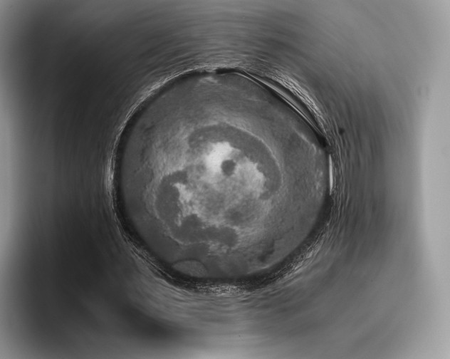 X0000096220483200801181453