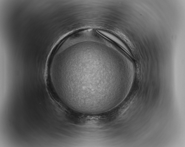 X0000096220484200801181453