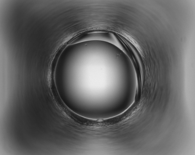 X0000096220485200801181453
