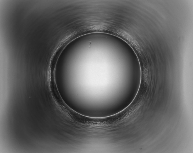 X0000096220486200801181453