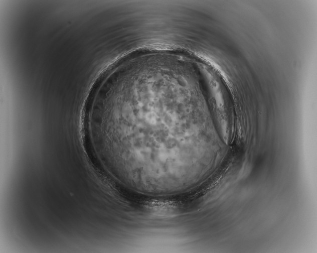 X0000096220487200801181453