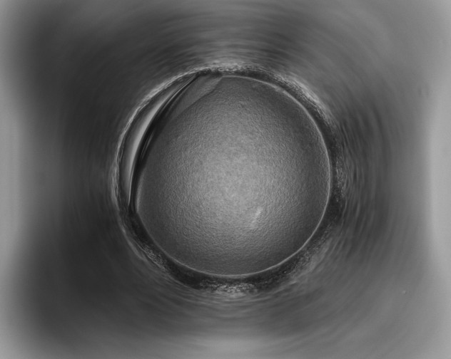 X0000096220488200801181453