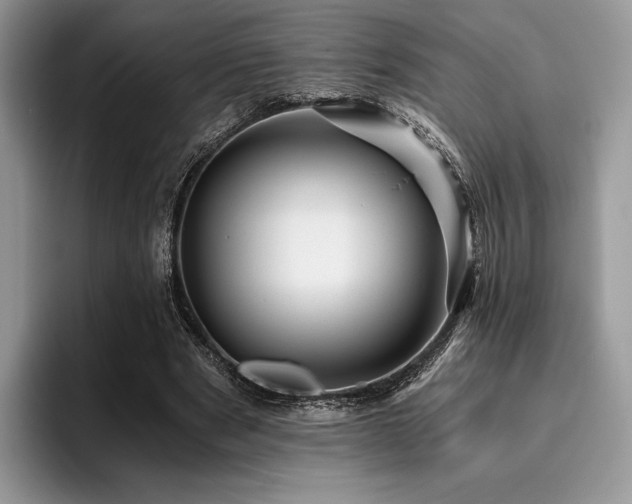 X0000096220489200801181453