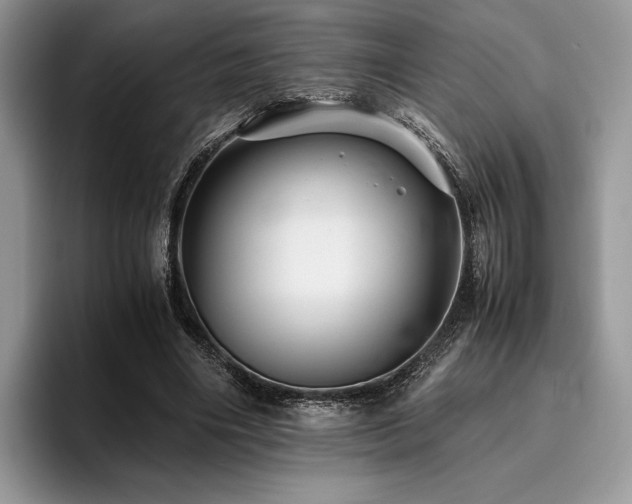 X0000096220490200801181453