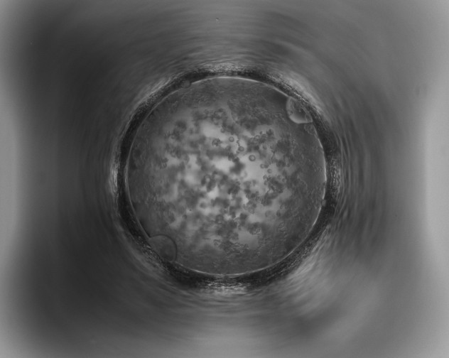 X0000096220491200801181453