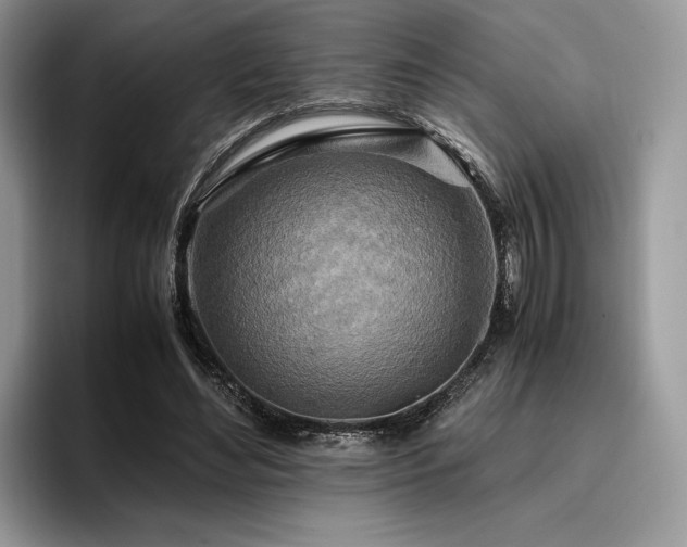 X0000096220492200801181453