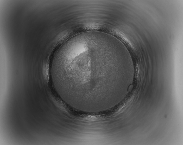 X0000096220494200801181453