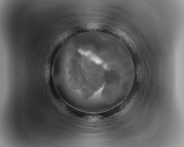X0000096220495200801181453