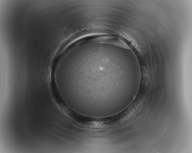 X0000096220496200801181453