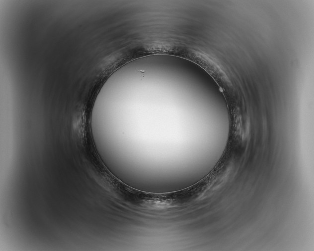 X0000096220498200801181453