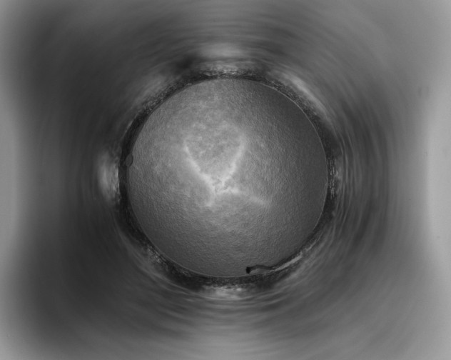 X0000096220500200801181453
