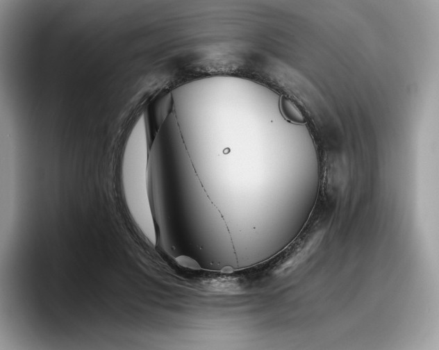 X0000096220501200801181453