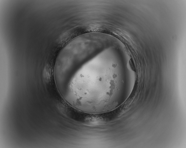 X0000096220503200801181453