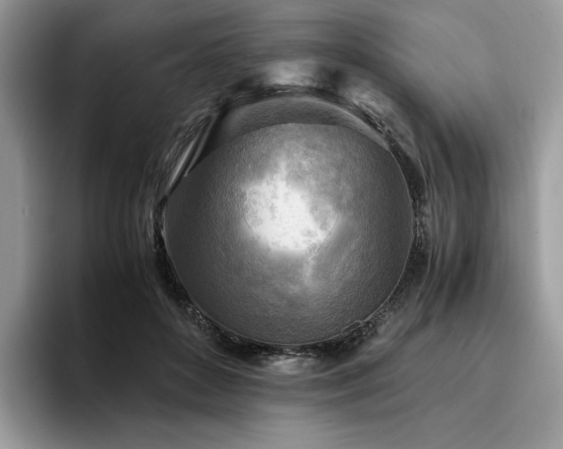 X0000096220504200801181453