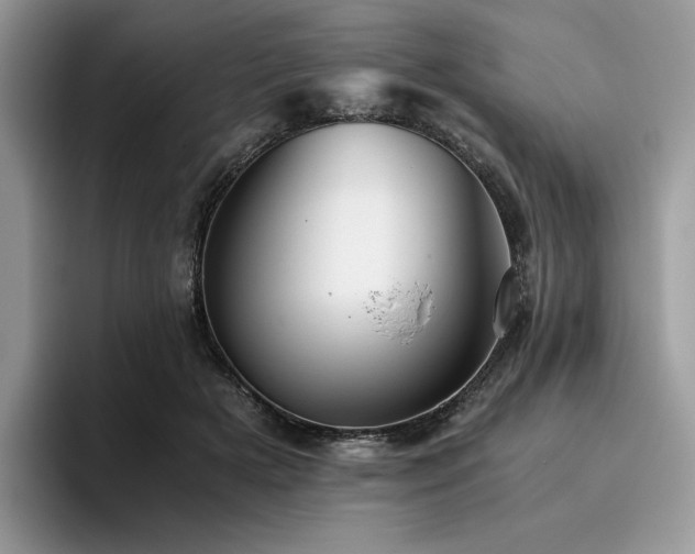 X0000096220505200801181453
