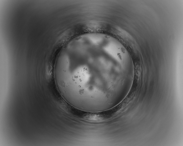 X0000096220507200801181453