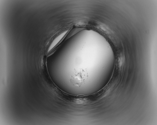 X0000096220508200801181453