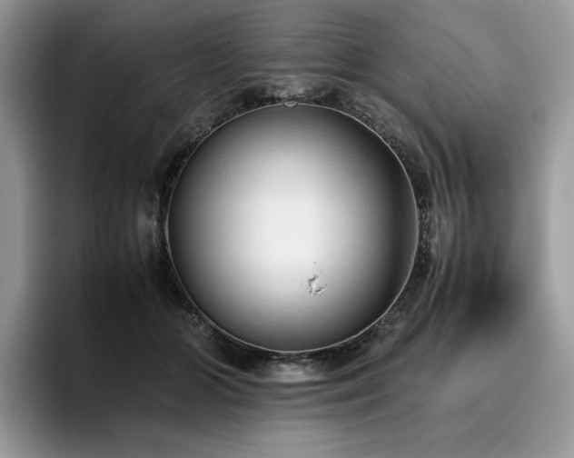 X0000096220510200801181453