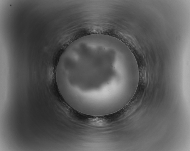 X0000096220511200801181453