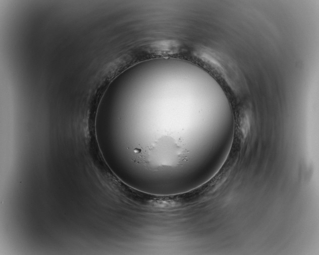 X0000096220512200801181453