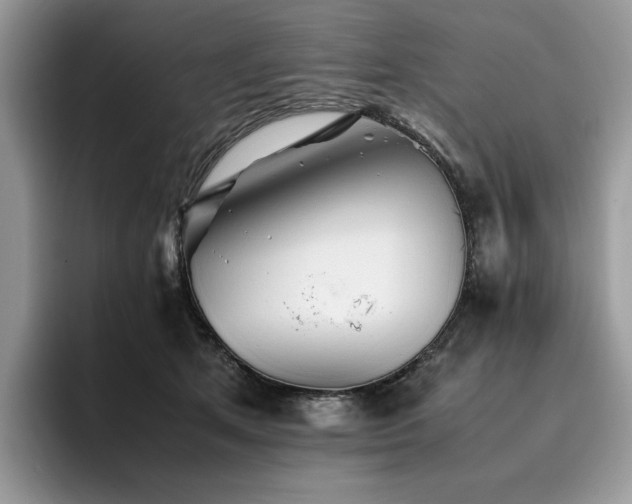 X0000096220513200801181453