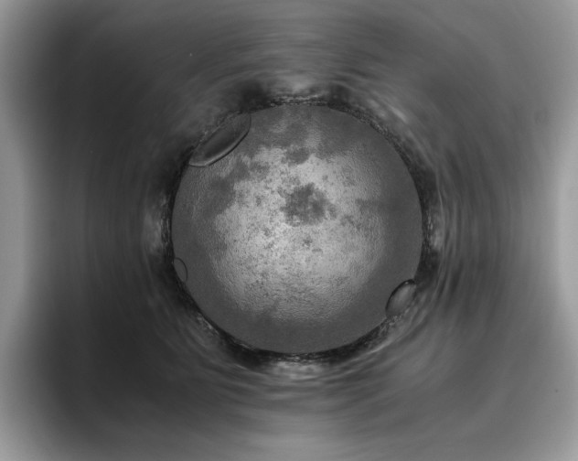 X0000096220515200801181453