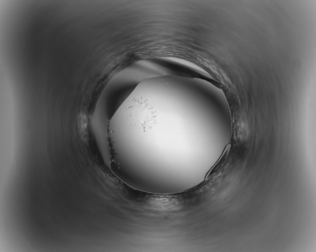 X0000096220521200801181453