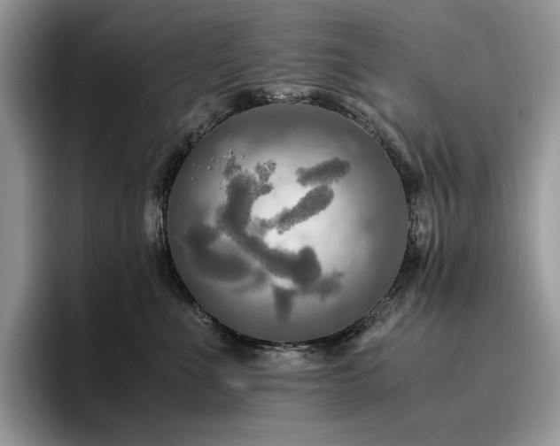 X0000096220523200801181453
