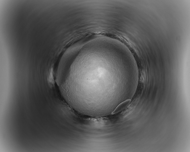 X0000096220524200801181453