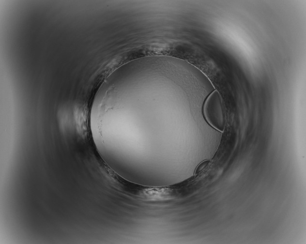 X0000096220526200801181453