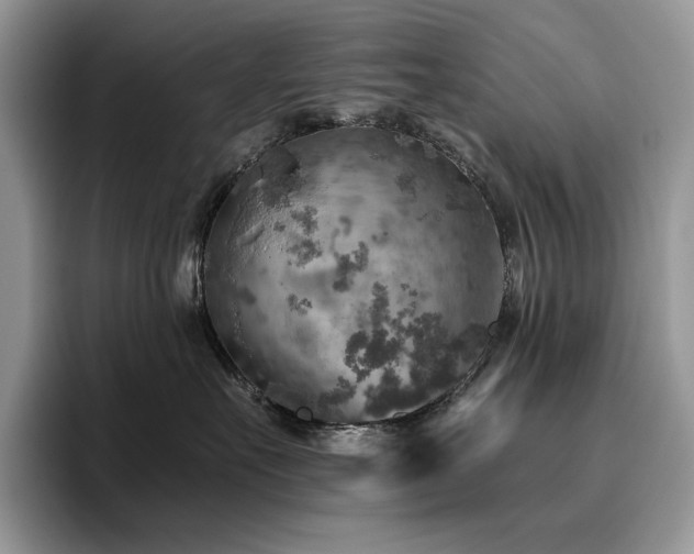 X0000096220527200801181453