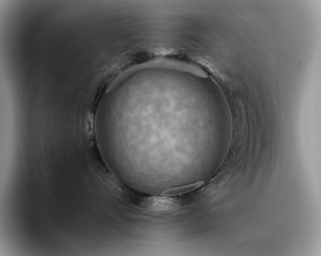 X0000096220528200801181453